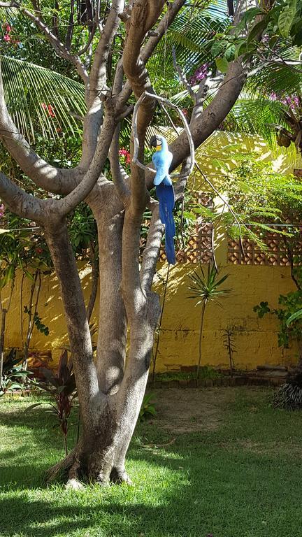 Pousada Agua Marinha 卡诺格布拉达 外观 照片